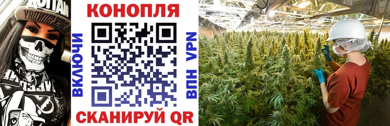 Каннабис Ganja  купить закладку  ОМГ ОМГ вход  Лосино-Петровский 